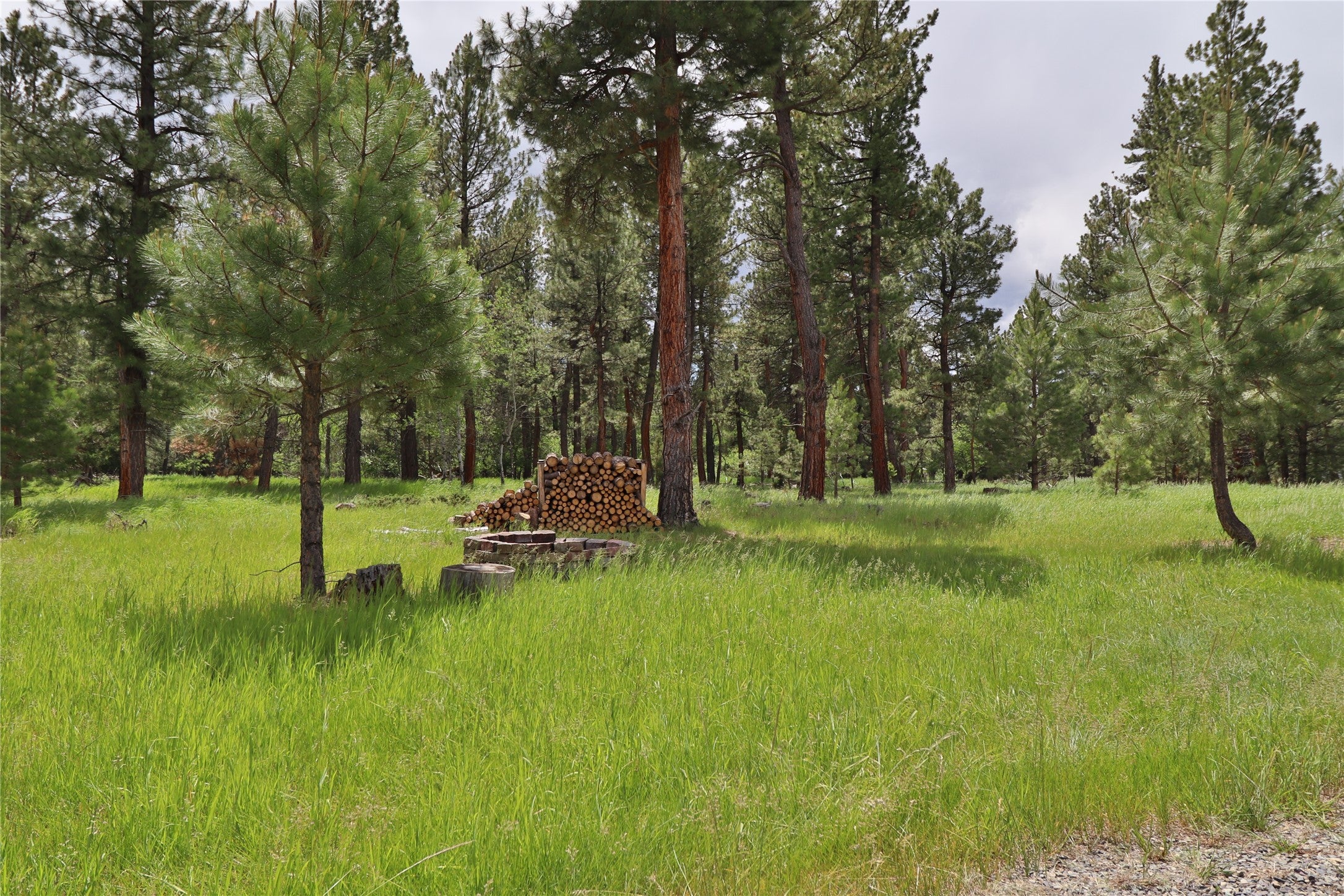 4587 Patterson Loop Lincoln, MT 59639 - Photo 6 of 21 Gallery Image 6