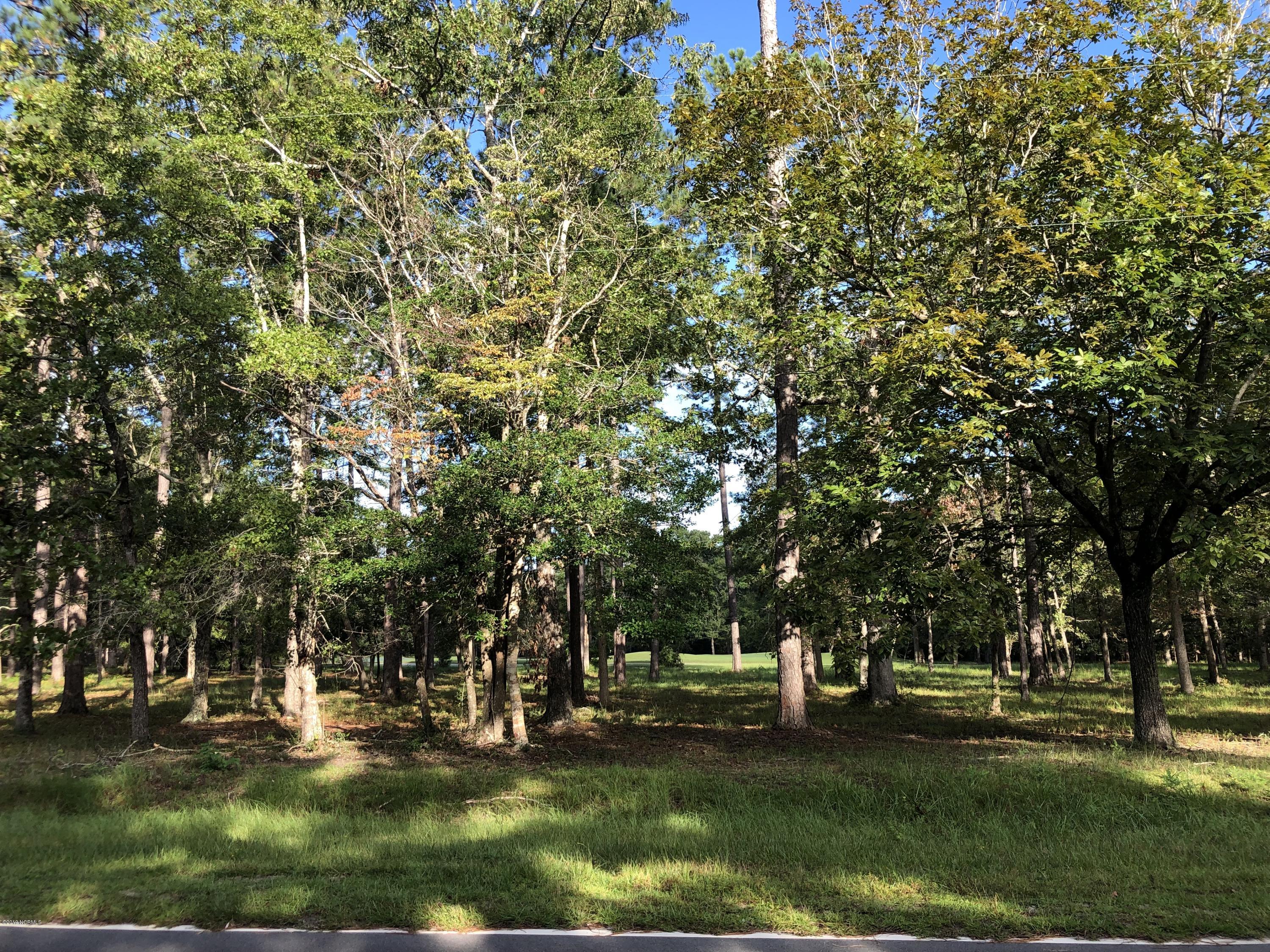 L17 Copas Road Southwest Shallotte, NC 28470 - Photo 1 of 8 Street View