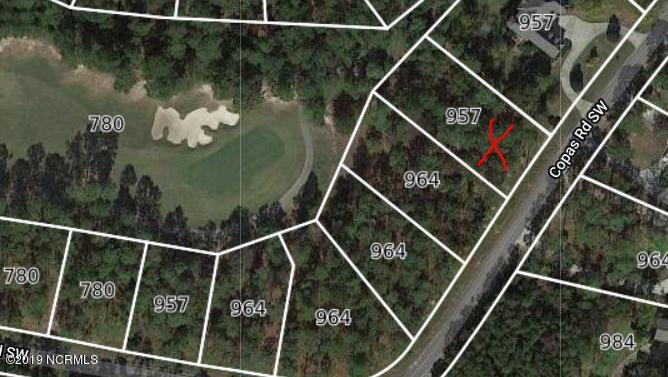L17 Copas Road Southwest Shallotte, NC 28470 - Photo 7 of 8 Aerial