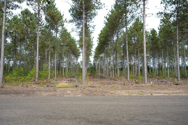 $35,000 | Lot 4 Bollig, Nekoosa, WI 54457
