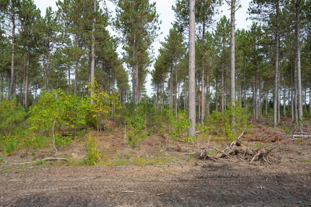 $35,000 | Lot 4 Bollig, Nekoosa, WI 54457
