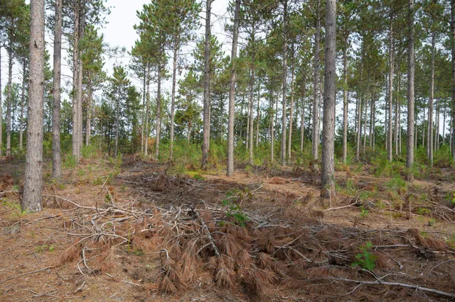 $35,000 | Lot 4 Bollig, Nekoosa, WI 54457