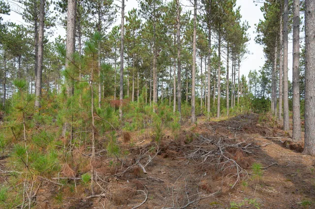 $35,000 | Lot 4 Bollig, Nekoosa, WI 54457