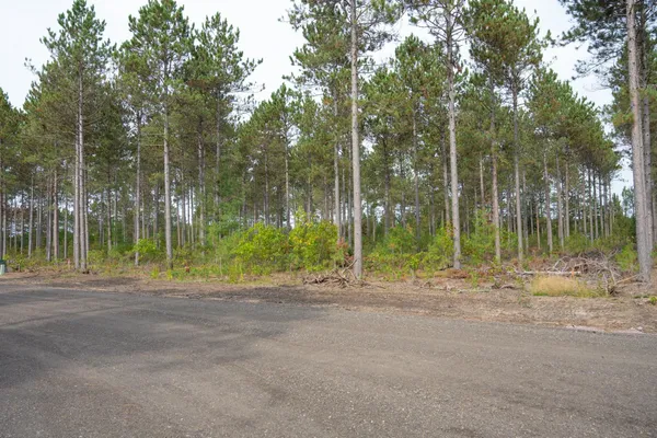 $35,000 | Lot 4 Bollig, Nekoosa, WI 54457
