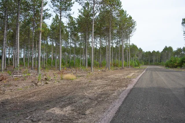 $35,000 | Lot 4 Bollig, Nekoosa, WI 54457
