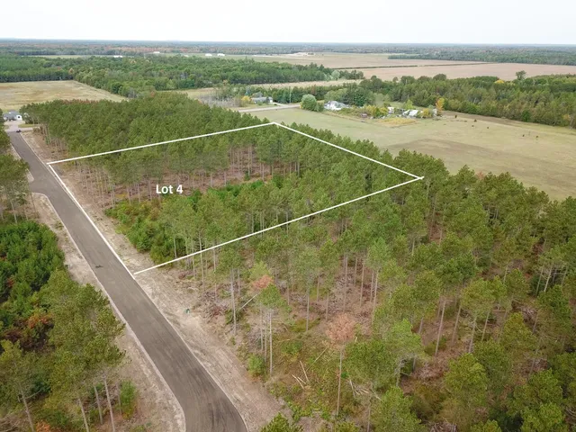 $35,000 | Lot 4 Bollig, Nekoosa, WI 54457