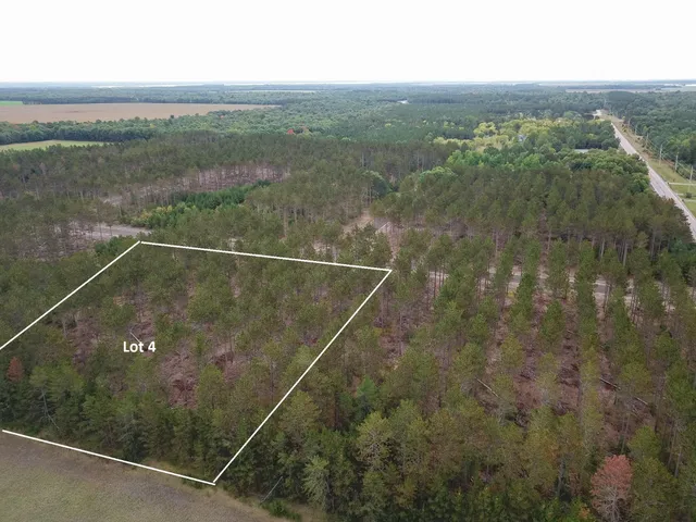 $35,000 | Lot 4 Bollig, Nekoosa, WI 54457