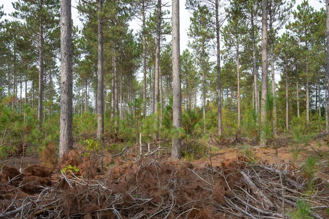 $35,000 | Lot 4 Bollig, Nekoosa, WI 54457