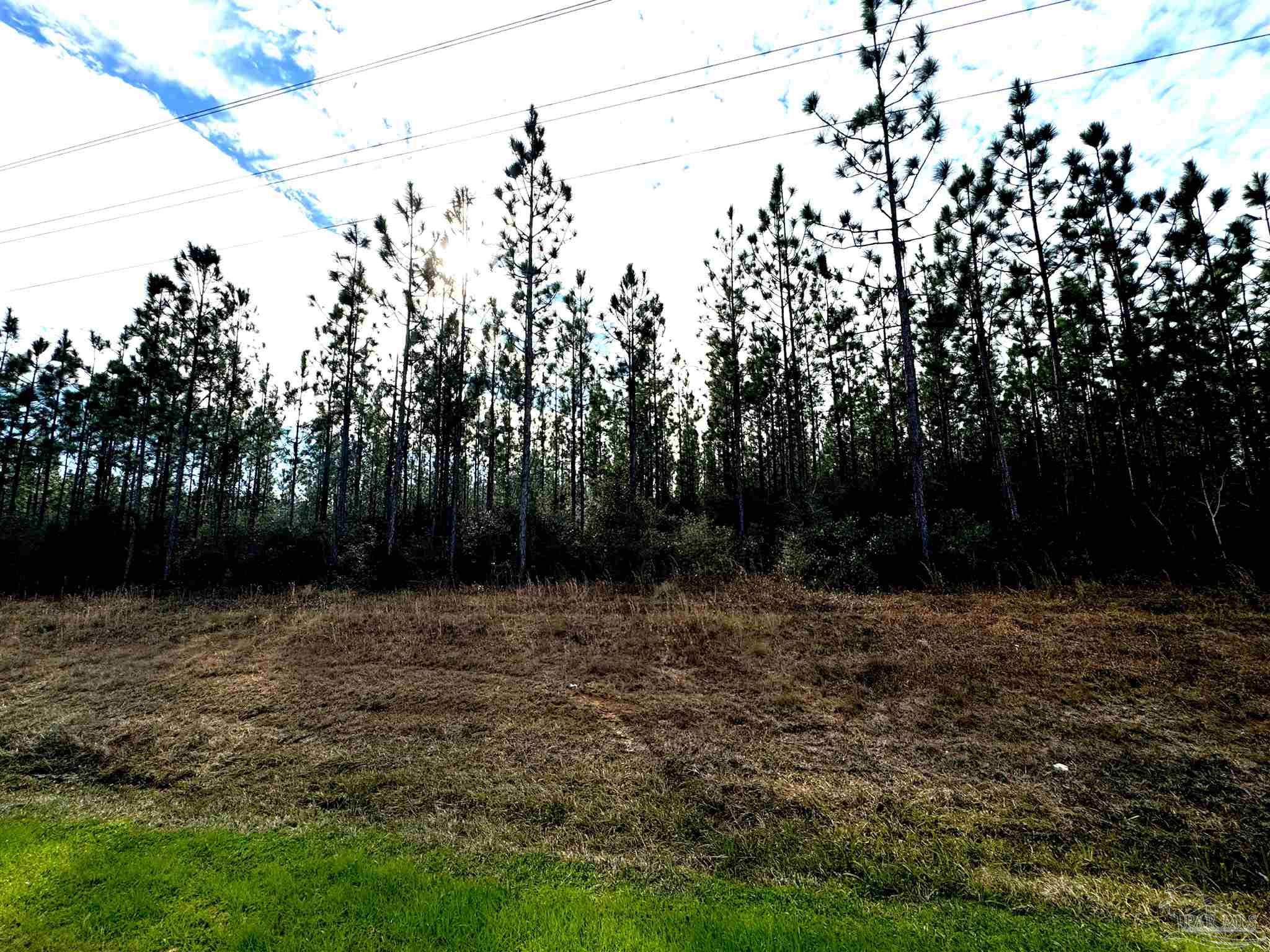 2 Tidwell Road Pace, FL 32571 - Photo 2 of 9