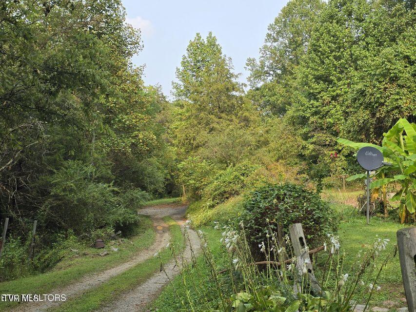 170 Parker Road Eidson, TN 37731 - Photo 27 of 60 27