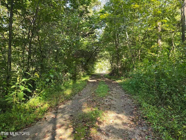 $524,800 | 170 Parker Road, Eidson, TN 37731