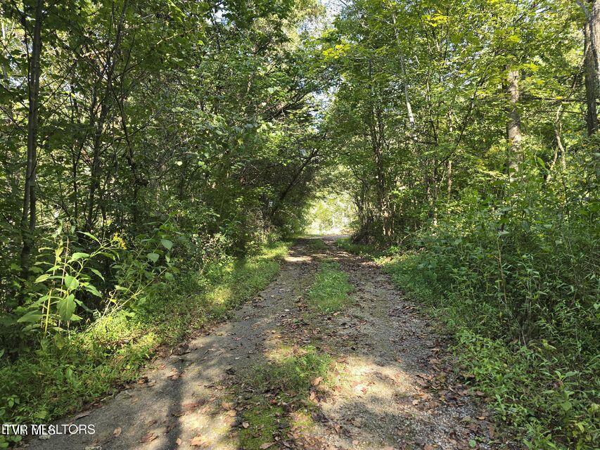 170 Parker Road Eidson, TN 37731 - Photo 28 of 60 28