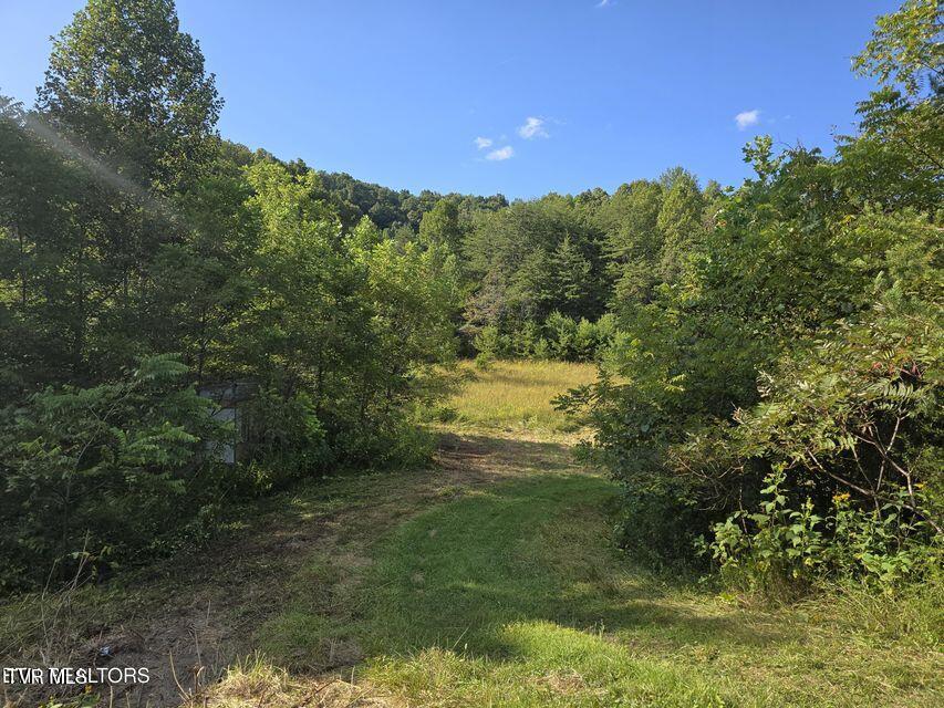 170 Parker Road Eidson, TN 37731 - Photo 29 of 60 29