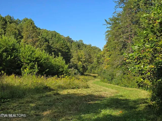 $524,800 | 170 Parker Road, Eidson, TN 37731