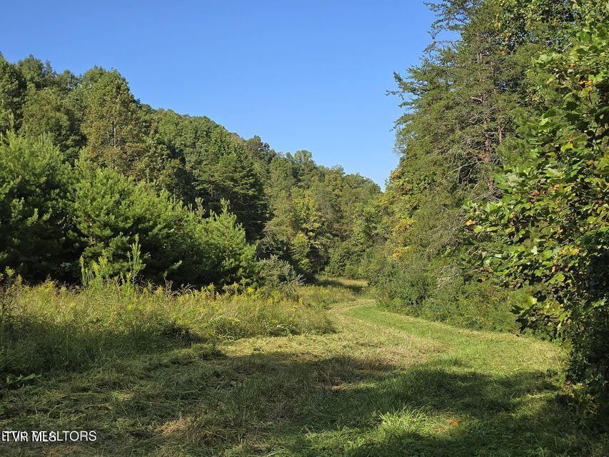 170 Parker Road Eidson, TN 37731 - Photo 30 of 60 30