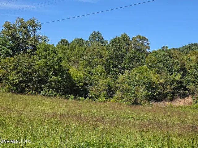 $524,800 | 170 Parker Road, Eidson, TN 37731