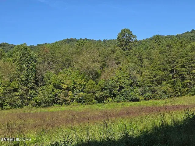 $524,800 | 170 Parker Road, Eidson, TN 37731