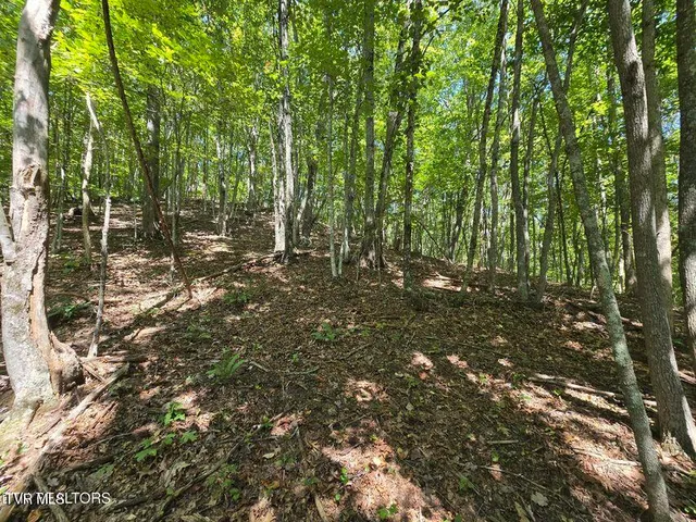 $524,800 | 170 Parker Road, Eidson, TN 37731