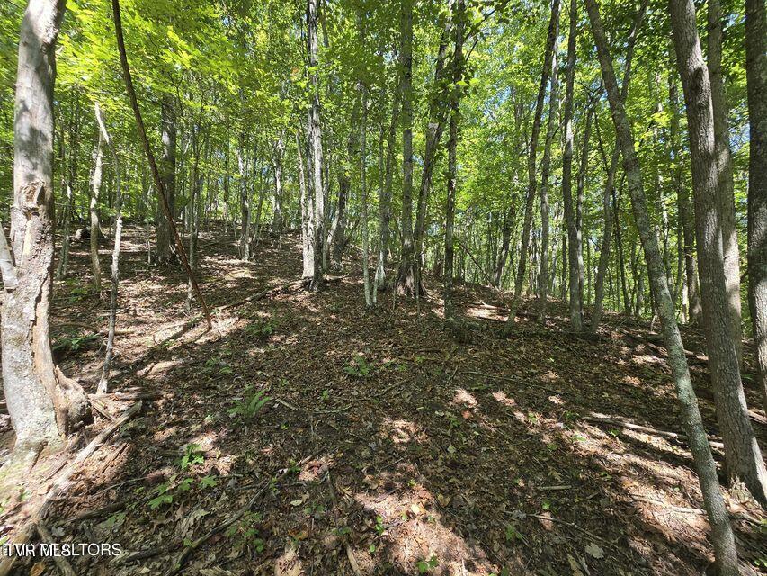 170 Parker Road Eidson, TN 37731 - Photo 33 of 60 33