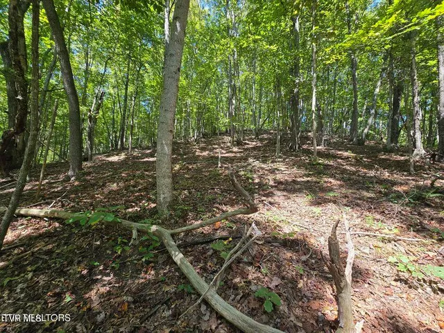 $524,800 | 170 Parker Road, Eidson, TN 37731