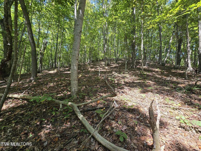 170 Parker Road Eidson, TN 37731 - Photo 34 of 60 34