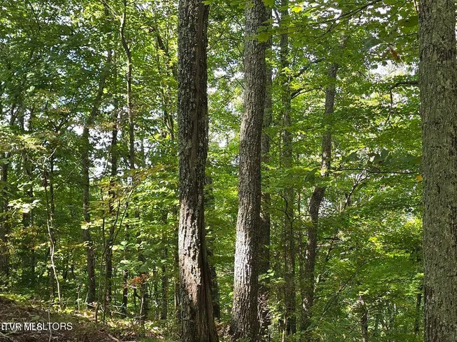 $524,800 | 170 Parker Road, Eidson, TN 37731