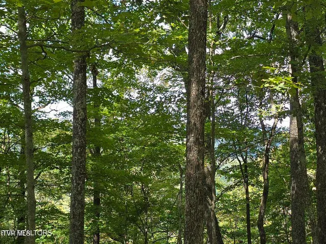 $524,800 | 170 Parker Road, Eidson, TN 37731