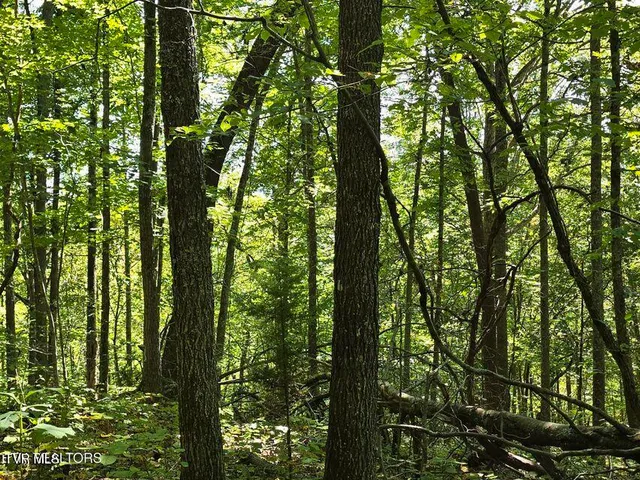 $524,800 | 170 Parker Road, Eidson, TN 37731