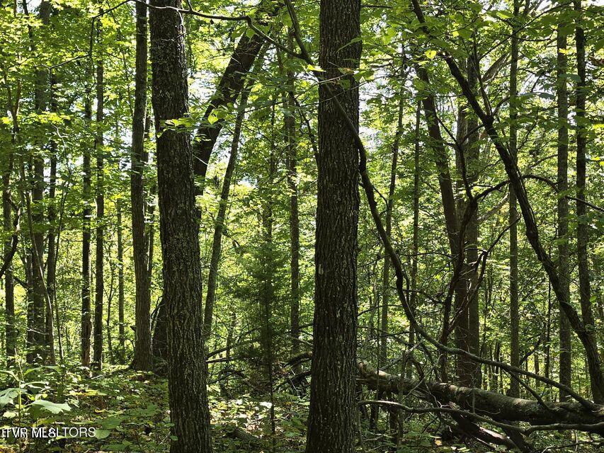 170 Parker Road Eidson, TN 37731 - Photo 37 of 60 37