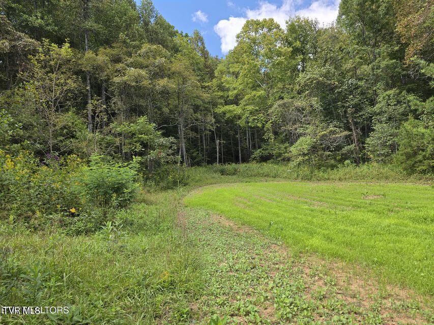 170 Parker Road Eidson, TN 37731 - Photo 39 of 60 39