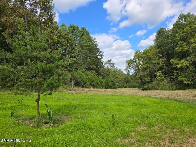 $524,800 | 170 Parker Road, Eidson, TN 37731