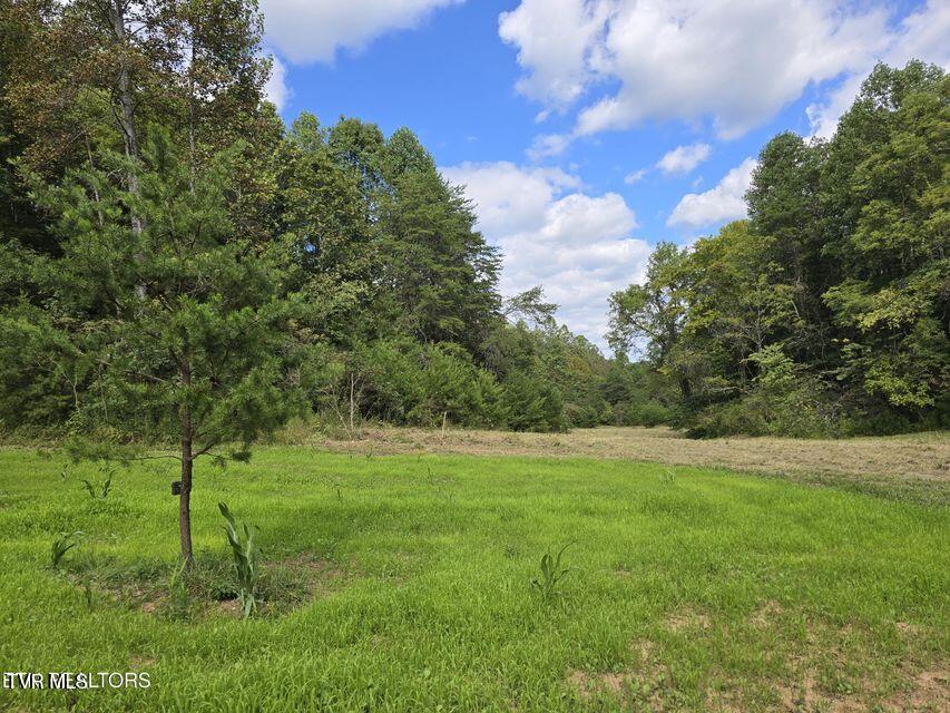 170 Parker Road Eidson, TN 37731 - Photo 40 of 60 40