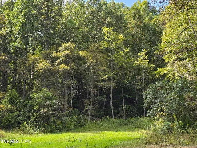 $524,800 | 170 Parker Road, Eidson, TN 37731