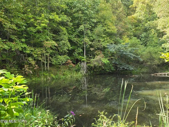 $524,800 | 170 Parker Road, Eidson, TN 37731