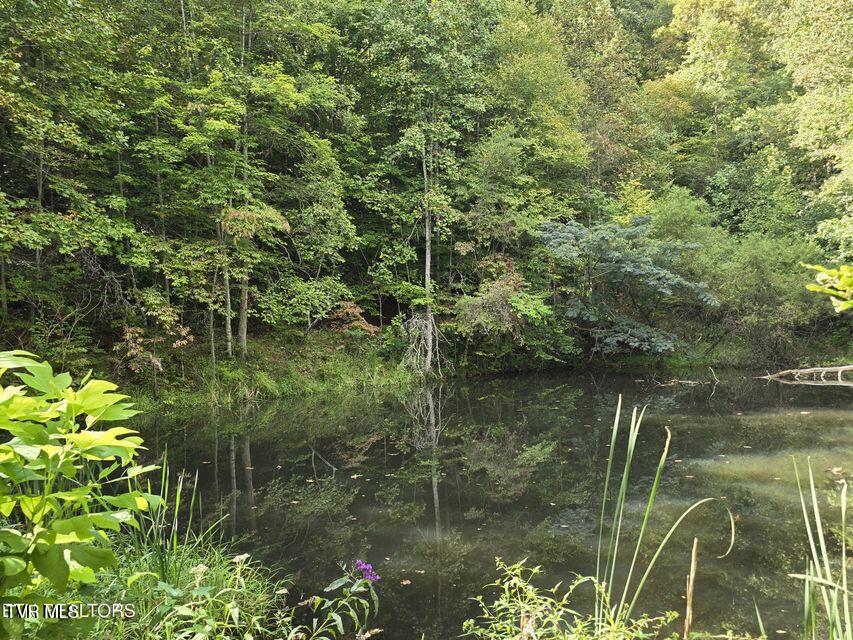 170 Parker Road Eidson, TN 37731 - Photo 42 of 60 42