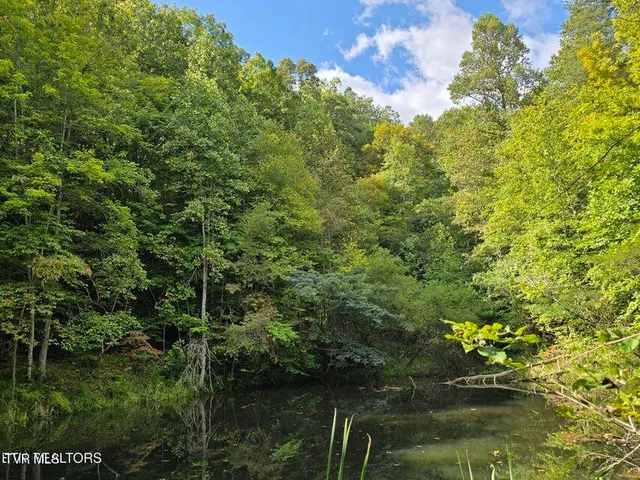 $524,800 | 170 Parker Road, Eidson, TN 37731