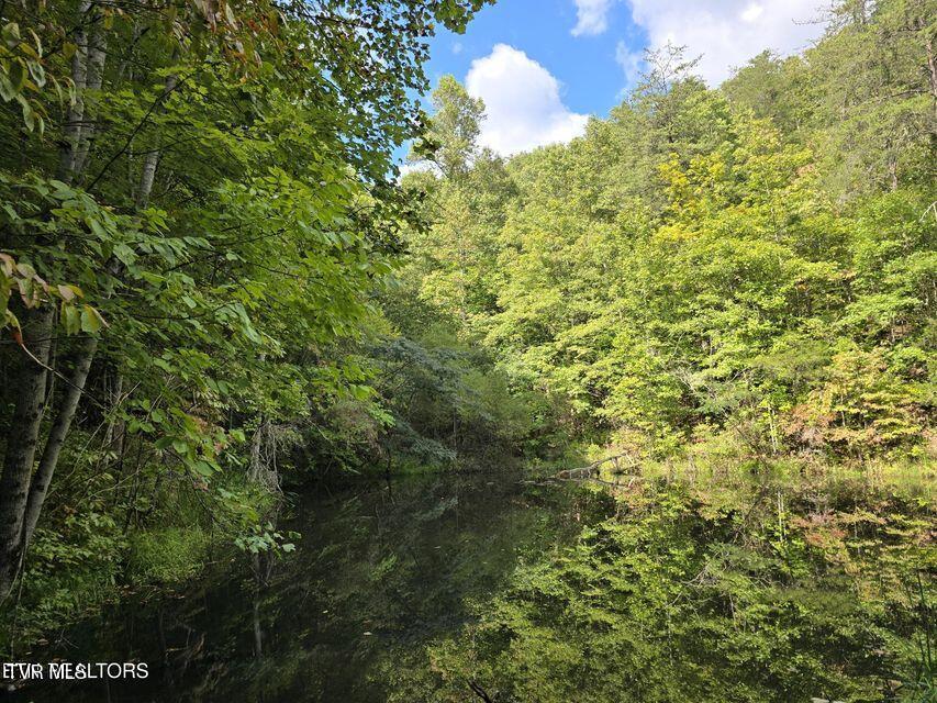 170 Parker Road Eidson, TN 37731 - Photo 44 of 60 44