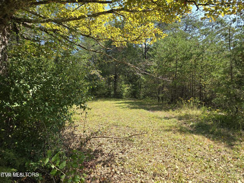 170 Parker Road Eidson, TN 37731 - Photo 45 of 60 45