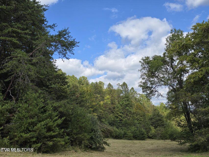 170 Parker Road Eidson, TN 37731 - Photo 46 of 60 46