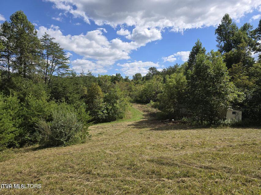 170 Parker Road Eidson, TN 37731 - Photo 47 of 60 47