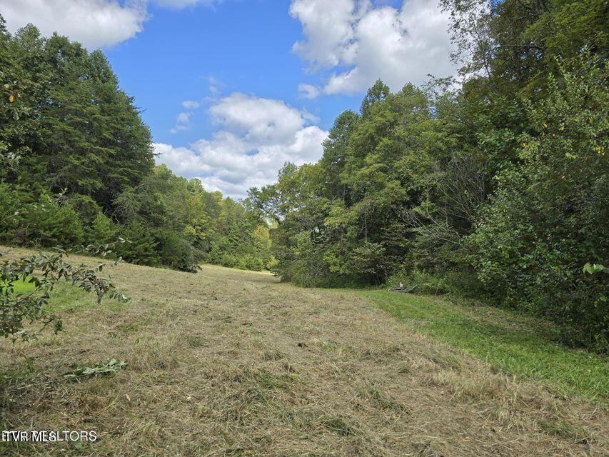 170 Parker Road Eidson, TN 37731 - Photo 48 of 60 48