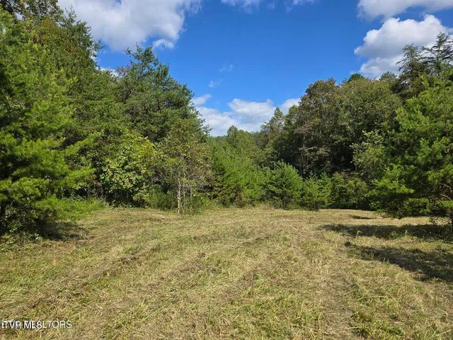 $524,800 | 170 Parker Road, Eidson, TN 37731