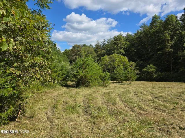 $524,800 | 170 Parker Road, Eidson, TN 37731