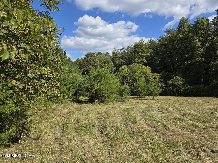 170 Parker Road Eidson, TN 37731 - Photo 51 of 60 51