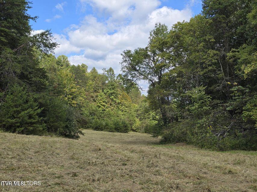 170 Parker Road Eidson, TN 37731 - Photo 52 of 60 52