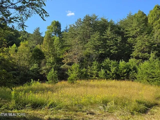 $524,800 | 170 Parker Road, Eidson, TN 37731