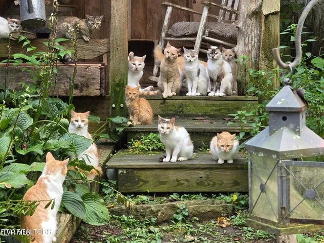 $524,800 | 170 Parker Road, Eidson, TN 37731