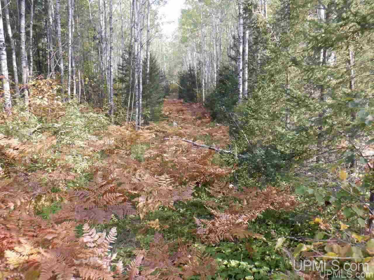 Tbd Bone Lake Road Amasa, MI 49903 - Photo 20 of 29