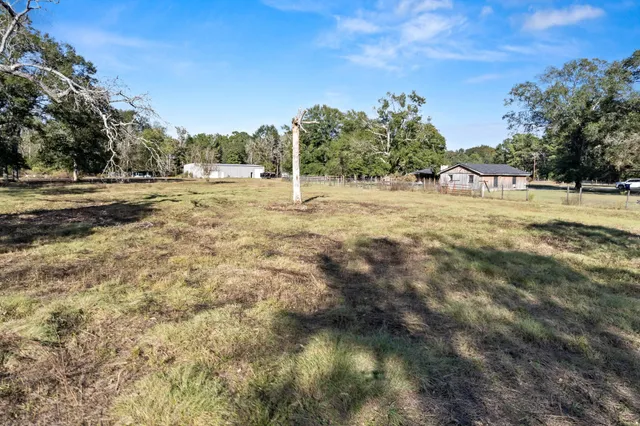 a backyard of a house with lots of green space