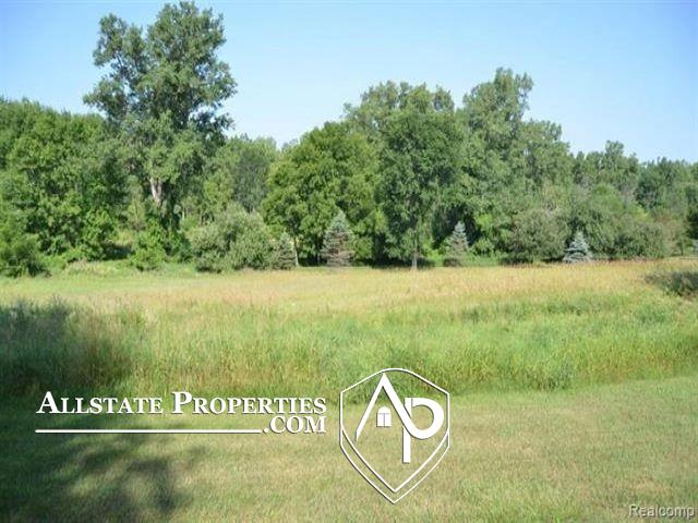 8311 Horton Road Goodrich, MI 48438 - Photo 4 of 5 Gallery Image 4
